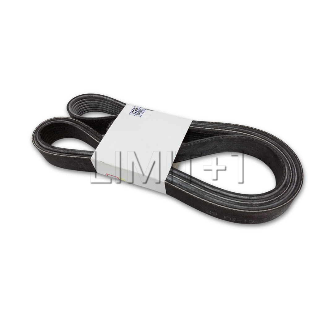 OEM Toyota GR Corolla Accessory Belt