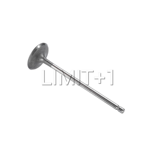 OEM Toyota GR Corolla G16E-GTS Intake Valve
