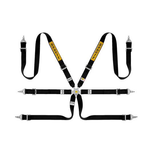 Sabelt 2x2 Steel Series 6-Point Racing Harness