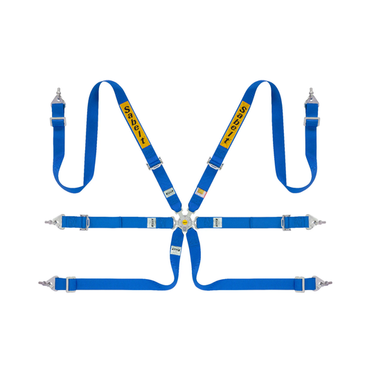 Sabelt 2x2 Steel Series 6-Point Racing Harness