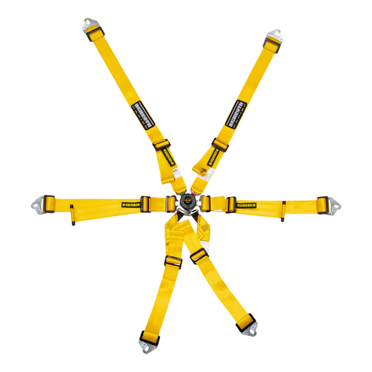 Schroth 2x2 Flexi 6-Point Racing Harness (2031 FIA Approval)